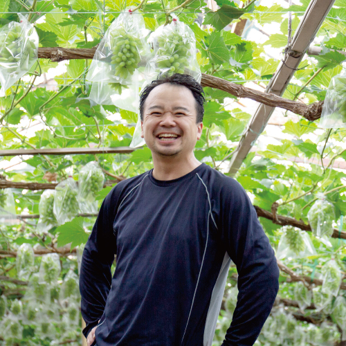 妥協ないぶどうの近藤さん