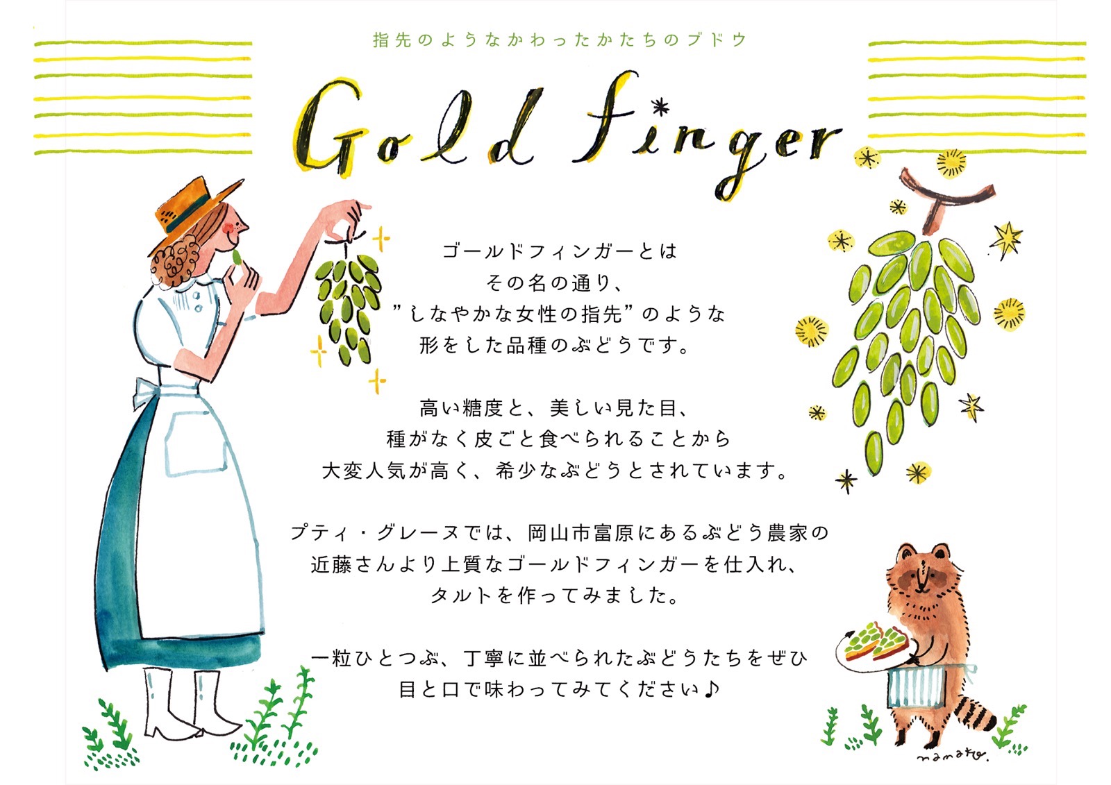 ゴールドフィンガーポップ