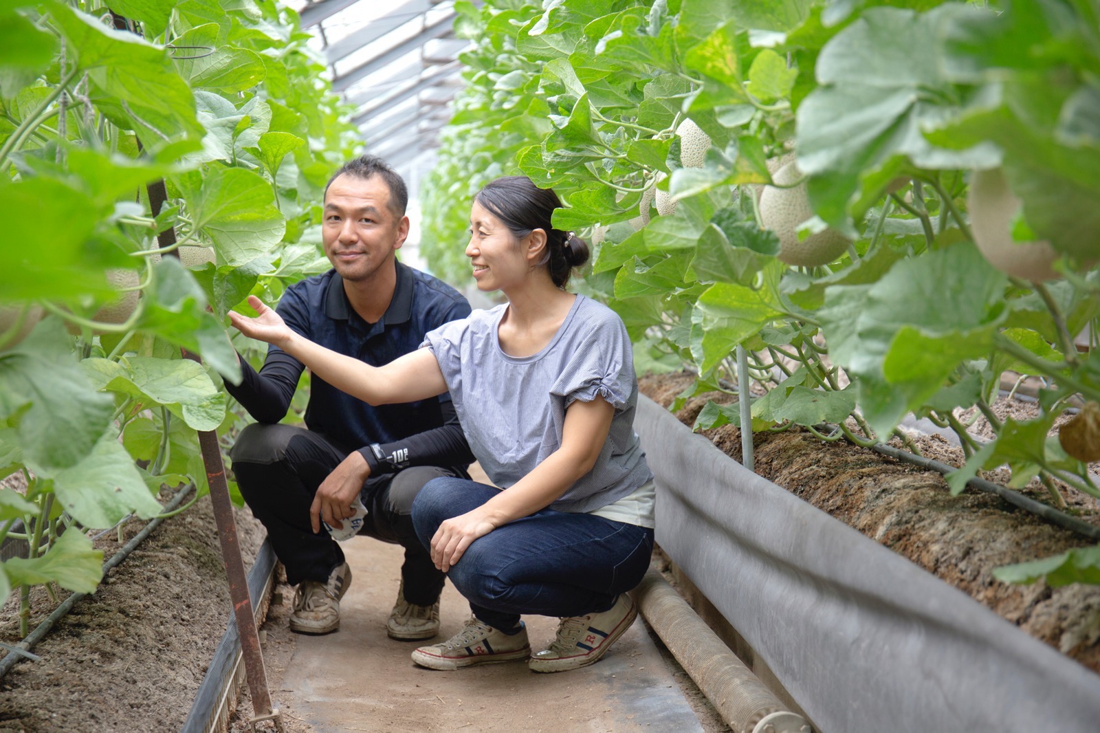足守メロンの板野さん