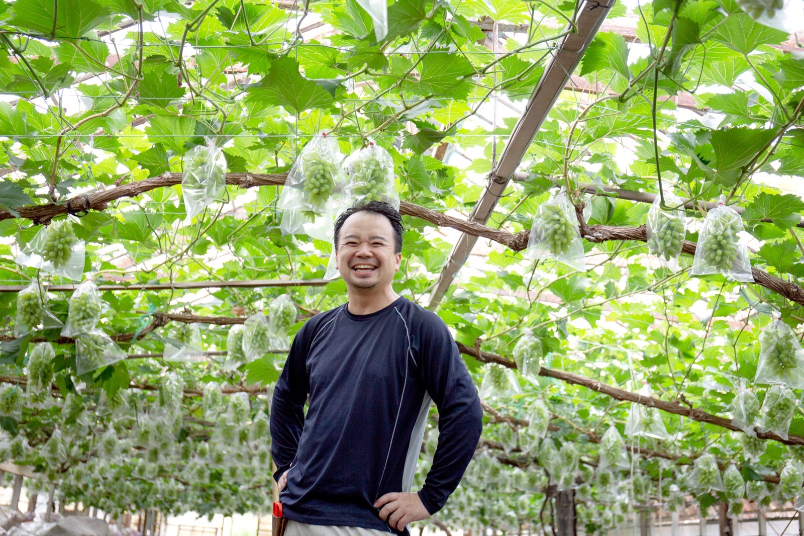 妥協ないぶどうの近藤さん