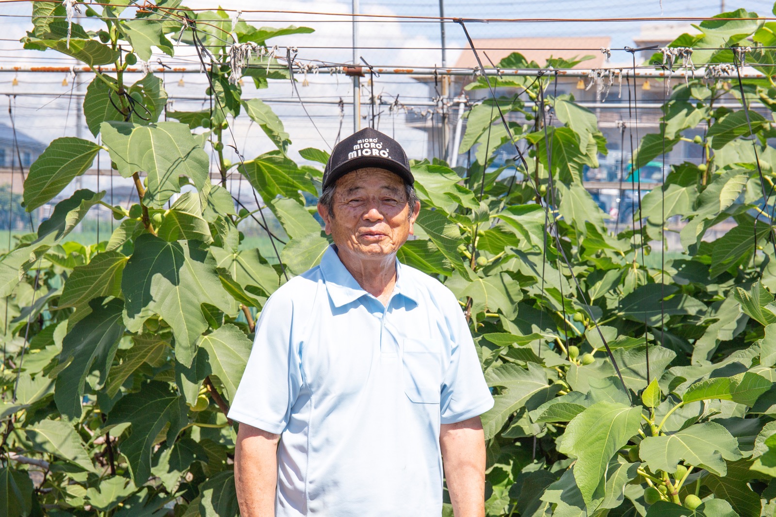 真心を込めたいちじくの木村さん