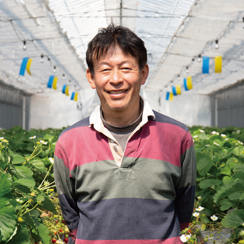 いちごづくりと丁寧に向き合う難波さん